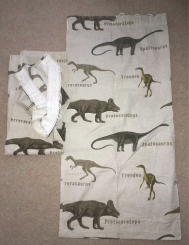 Sleep tight dinosaur - dinosaur, curtains