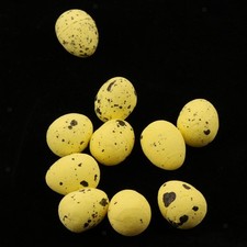 10 bird eggs, quail eggs