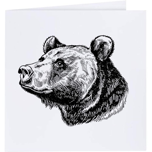 Grizzly bear portrait - 'grizzly, portrait'
