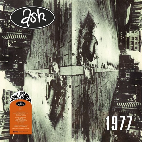 Ash 1977 vinyl 12 - (bmg), 12"