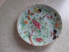 ANTIQUE CHINESE CANTON CELADON PLATE - HAND PAINTED BIRDS FLOWERS AND INSECTS