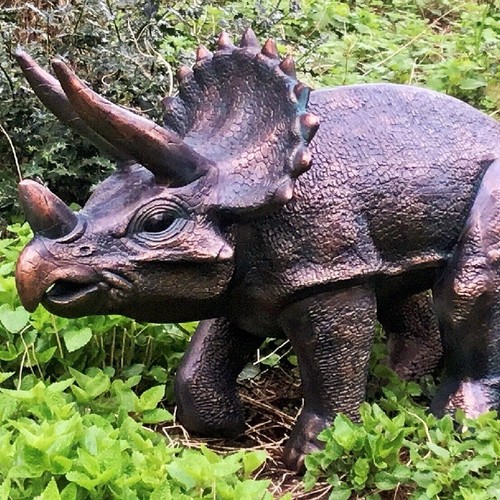 Triceratops garden sculpture - , /