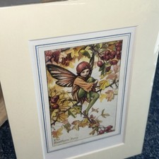 Vintage Flower Fairies & Mount