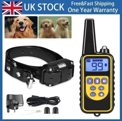 800m remote electric - electric, shock
