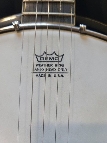 Remo weather king string - weather, 5-string
