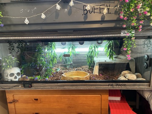 4ft snake vivarium - vivarium, heater