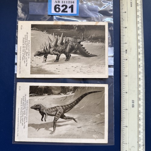 Np621 dinosaur collectables - np621,