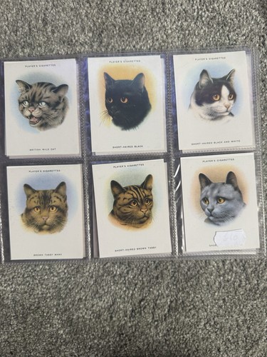 John player cats - cats, complete