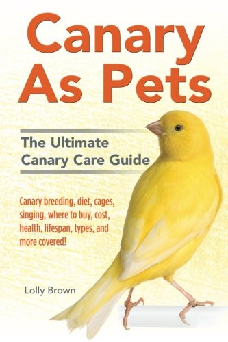 Canary pets - canary,