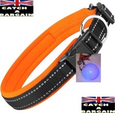 Ruxan Dog Collar with flashing ball, Reflective Soft Padded Breathable (D646)