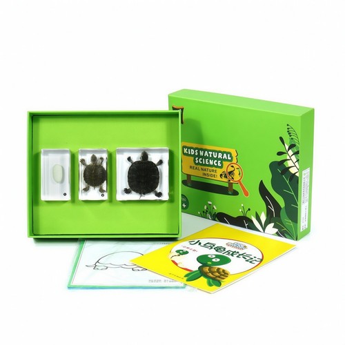 Nature sample display with - sample,