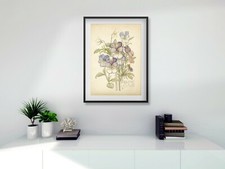 Rennie Mackintosh Botanical A3 digital print black white oak FRAME see others