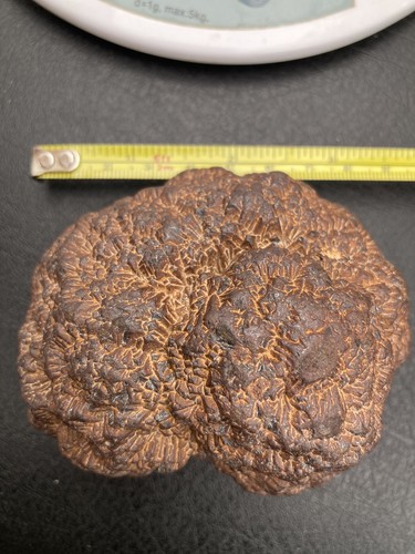 Iron pyrite nodule - pyrite, from
