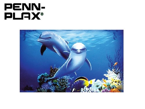 Penn plax aquarium fish - 3d,