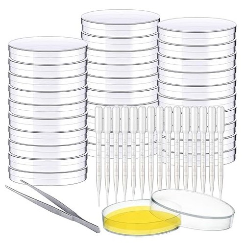 30pcs petri dish - 30pcs, with
