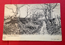 Antique Postcard Posted 1905 Roman Road Bebington