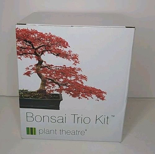 Plant theatre bonsai kit - plant,