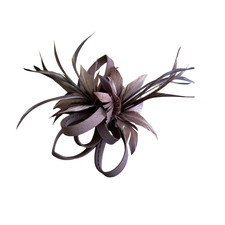 Coffee Brown Feather Looped