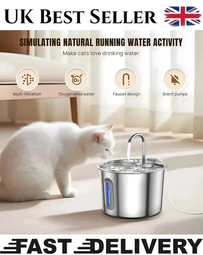 Cat water fountain for - cat,
