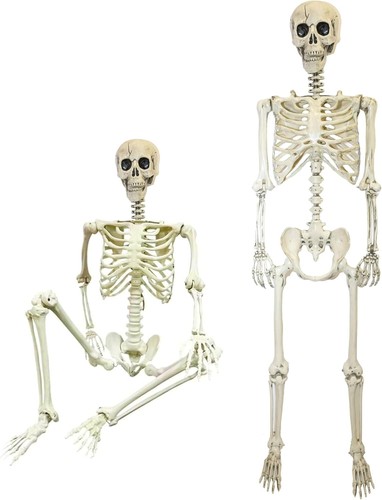 Halloween decoration life size - decoration,