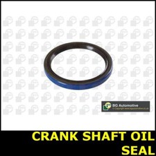 Crank Shaft Oil Seal Rear Fits