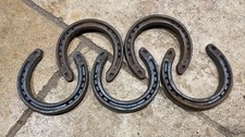 5 new real Horse Shoes same size Horseshoe Craft, Game or Wedding