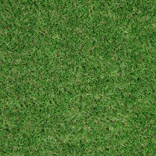 Artificial grass 37mm ackee - artificial,