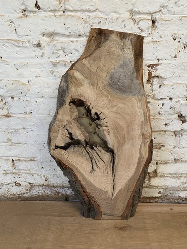 Waney edge live oak - edge,