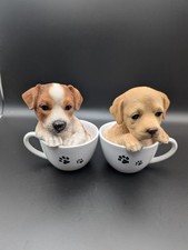 Pair Of Pet Pals Teacup Puppy