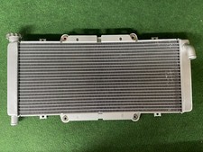 GENUINE QUADZILLA RL500 BUGGY