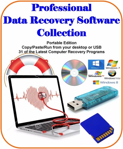 Professional data recovery - professional,