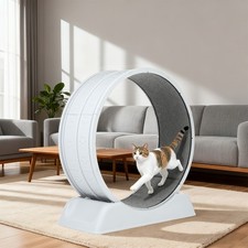 31.5 inch Cat Exercise Wheel