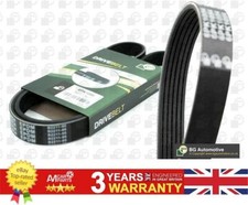 V Ribbed Belt For Alfa Romeo GIULIETTA MITO Cadillac BLS 55200252