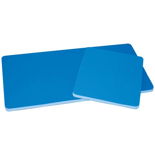 Pegasus backsaver seat memory - backsaver,