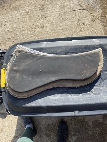 Prolite pads - prolite,