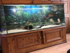 Fish Tank and Stand
