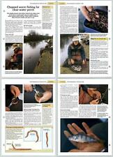Chopped Worm Fishing For Perch - Coarse Techniques - The Art Of Fishing 2 Pages