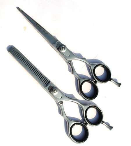 Professional pet dog cat hair - dog,