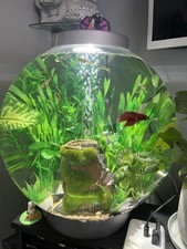 8 Week Old 30 Litre Biorb Fish Tank With Original Media