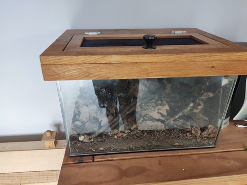 Vivarium aquarium with - vivarium,, aquarium,