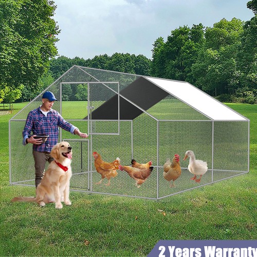 13x10ft chicken run - run, large