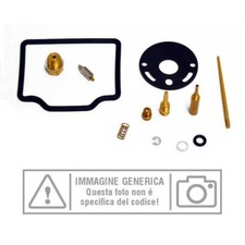 Carburetor revision kit for - revision,