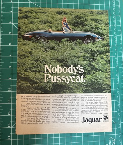 Vintage 1974 jaguar nobody - 1974, nobody’s