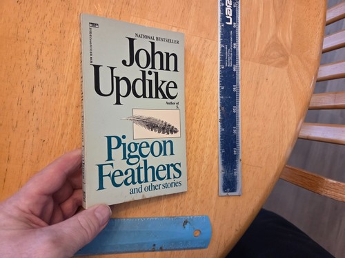 Pigeon feathers and other - pigeon,