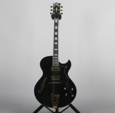 Semi Hollow Body Byrdland