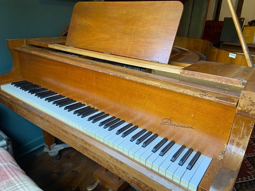 Danemann boudoir grand piano
