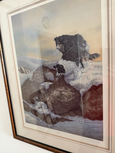 Found print nigel - found,