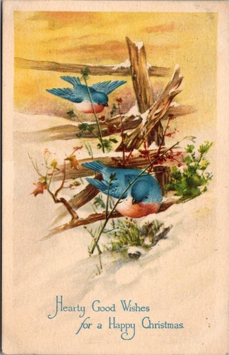 1916 gibson art bluebird - gibson,