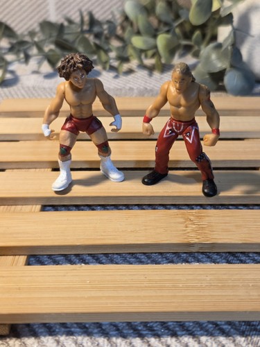 Wwe jakks micro aggression - micro,