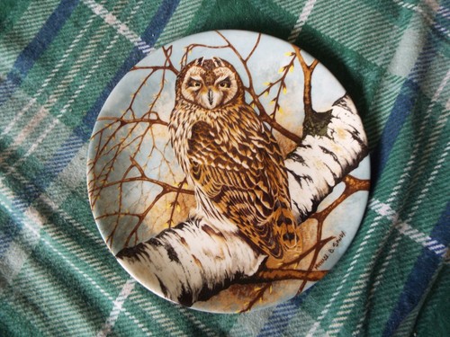 Coalport short eared owl - "short-eared, owl"